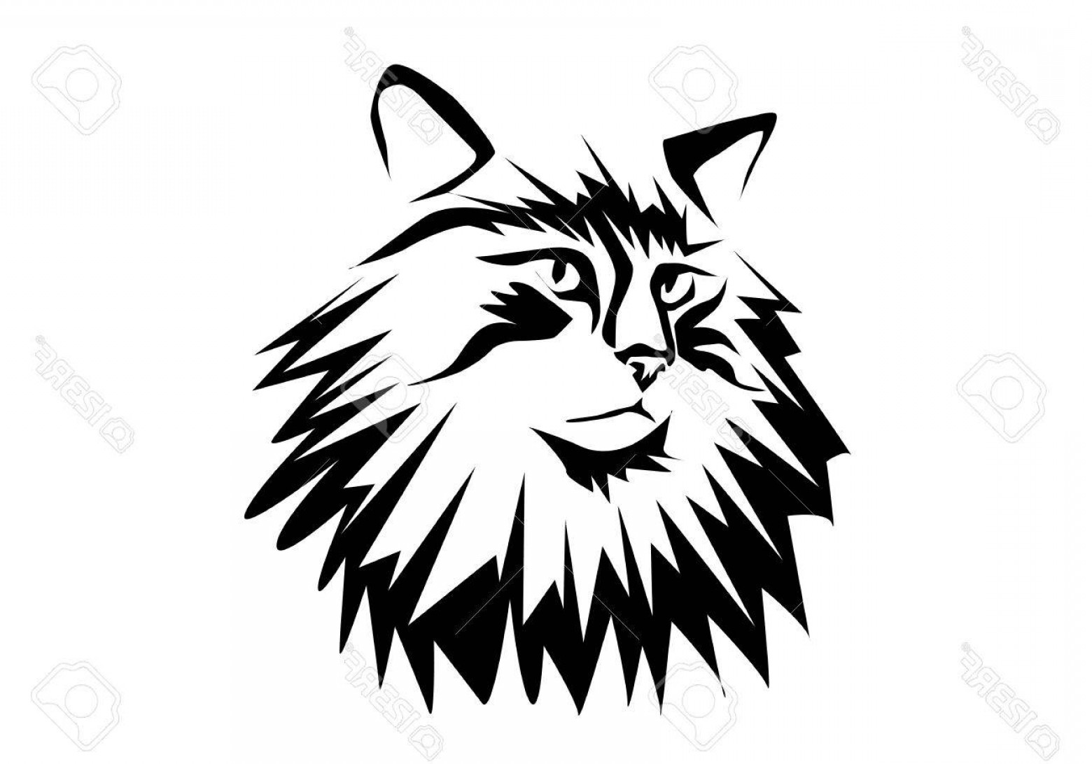 1560x1092 Photostock Vector Norwegian Forest Cat Silhouette Isolated