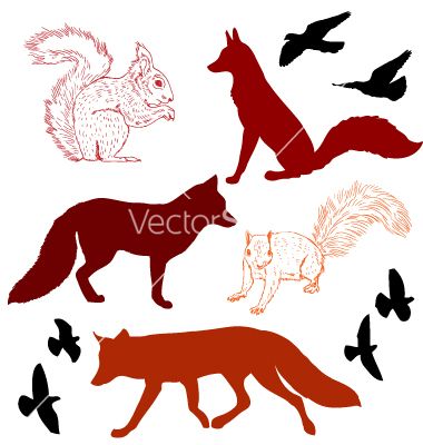 380x400 This Sitting Fox And Squirl Google Image Result For Httpwww