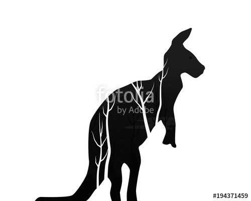 500x400 Silhouette Of A Kangaroo With Pine Forest Stock Image And Royalty
