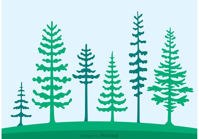 700x490 Cedar Trees Silhouette Vector 104407