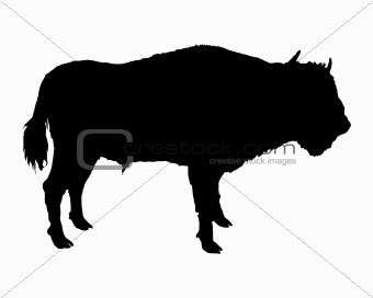 340x272 Image 1533908 Bison Shown In Form Of A Black Silhouette