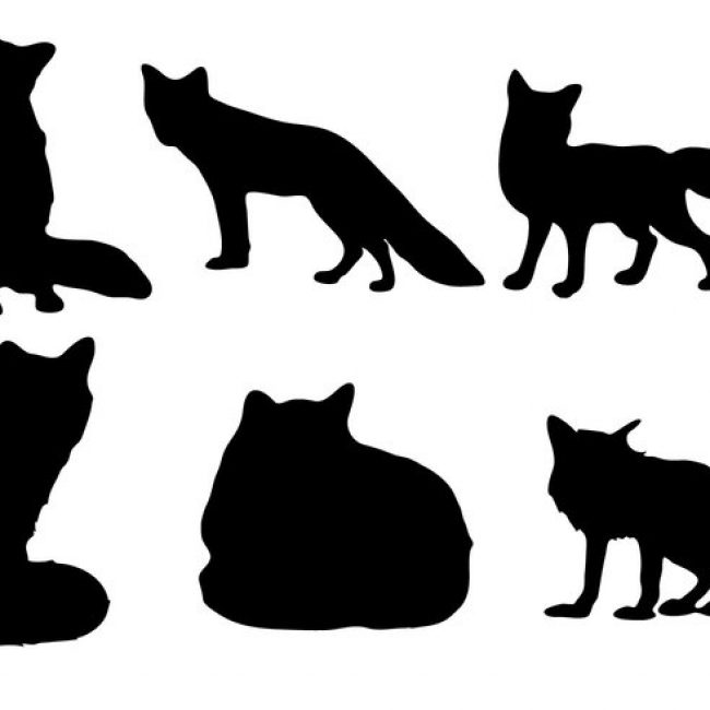 650x650 Free Vector Free Fox Silhouette Vector