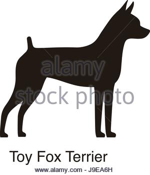 300x348 Fox Terrier Silhouette Stock Vector Art Amp Illustration, Vector
