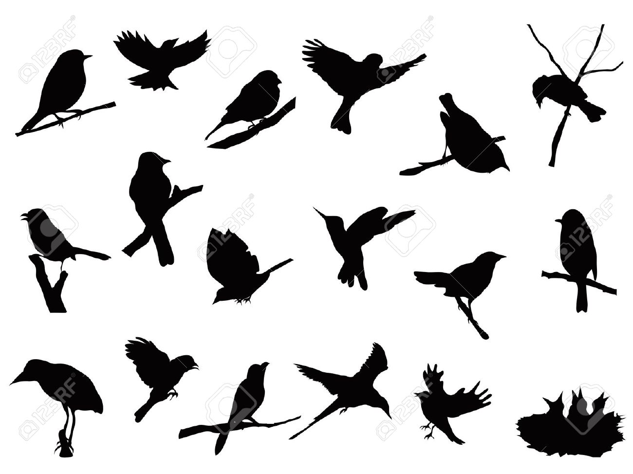 1300x974 Nightingale Clipart Free Bird