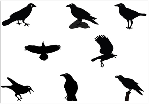 500x350 Silhouette Clipart Raven