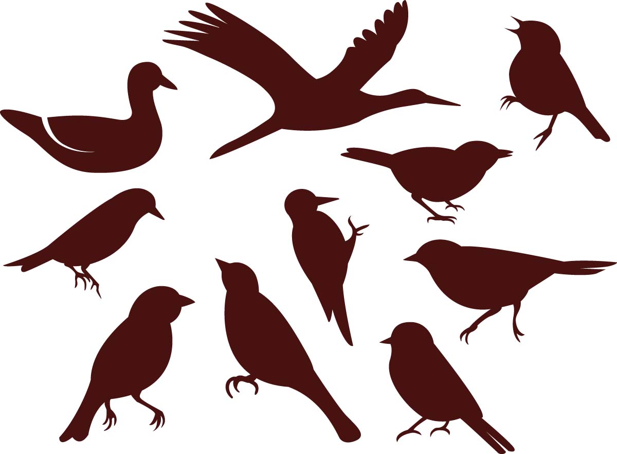 1200x882 Simple Birds Silhouette Vector Set Free Download