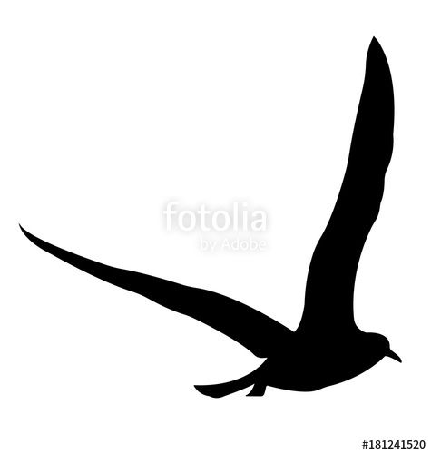 475x500 Bird Silhouette. Vector Eps 10. Stock Image And Royalty Free
