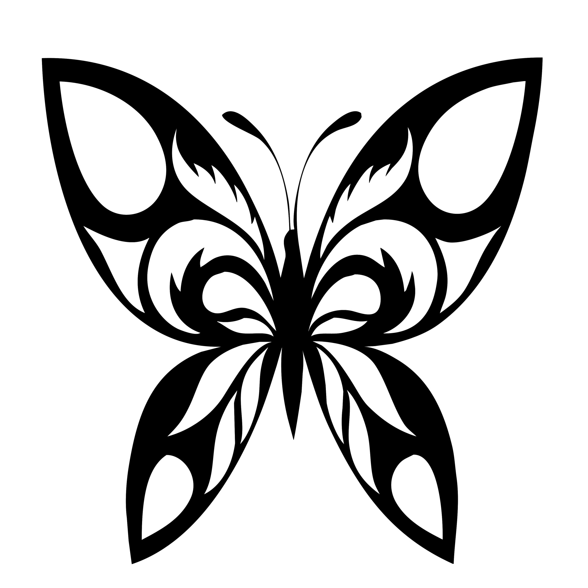1920x1920 Butterfly Silhouette Black Motif Free Stock Photo