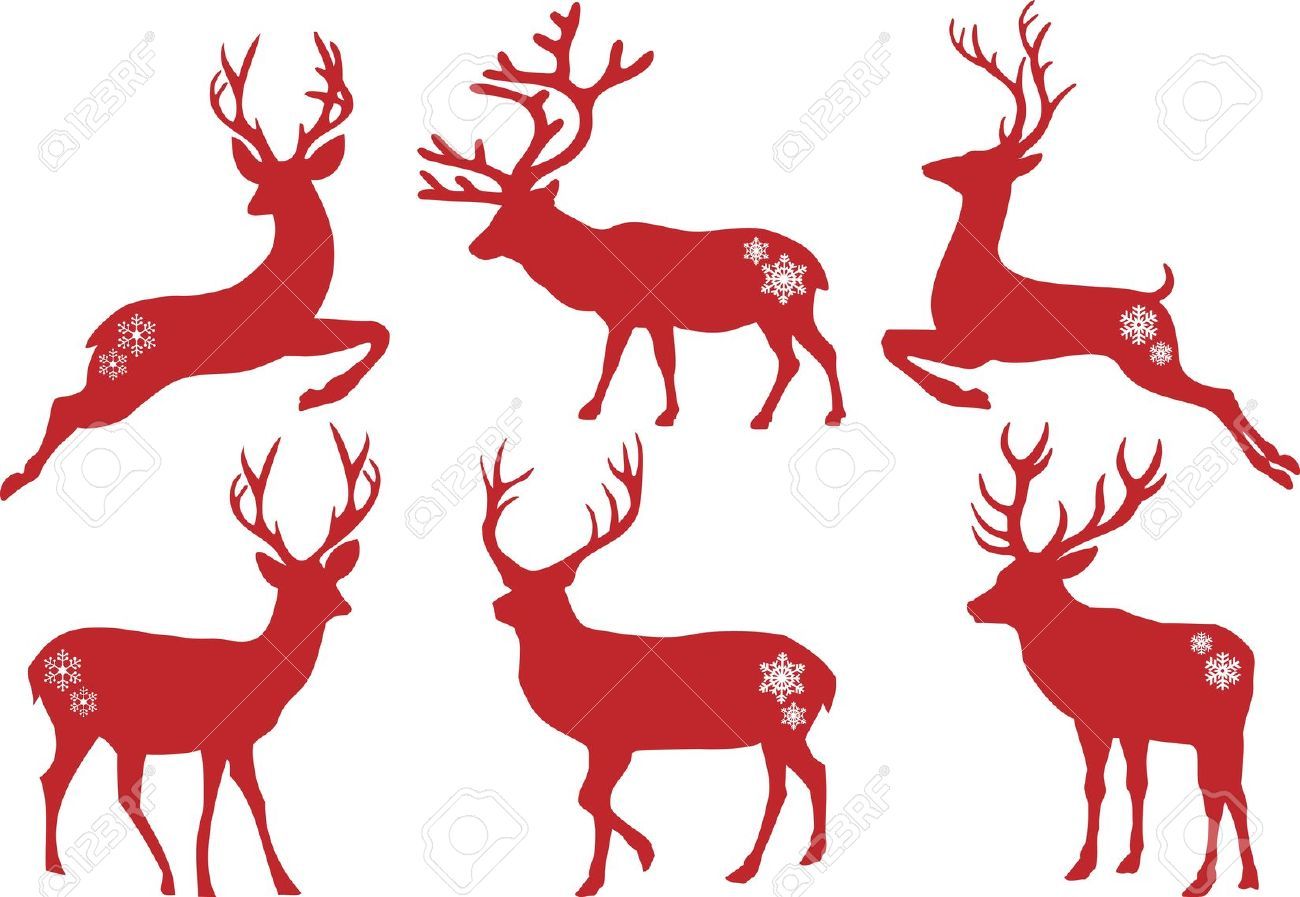 1300x897 Deer Stag In Snow Stock Photos Amp Pictures. 1,072 Royalty Free Deer