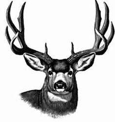 236x250 Mule Deer Clipart