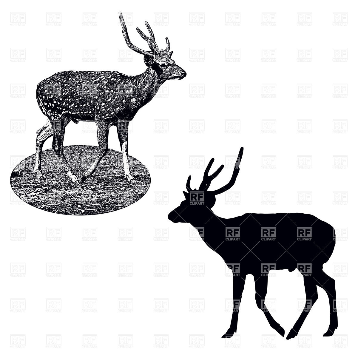 1200x1200 Silhouette And Shading Style Profile Of Male Of Spotted Deer