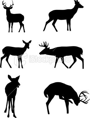 290x380 Deer Silhouettes Vector Art, Art Illustrations And Royalty