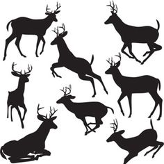 236x236 Printable Reindeer Template, Click On This Fellow's Website