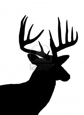 290x400 Whitetail Deer Head Silhouette Isolated Stock Photo Deer Head