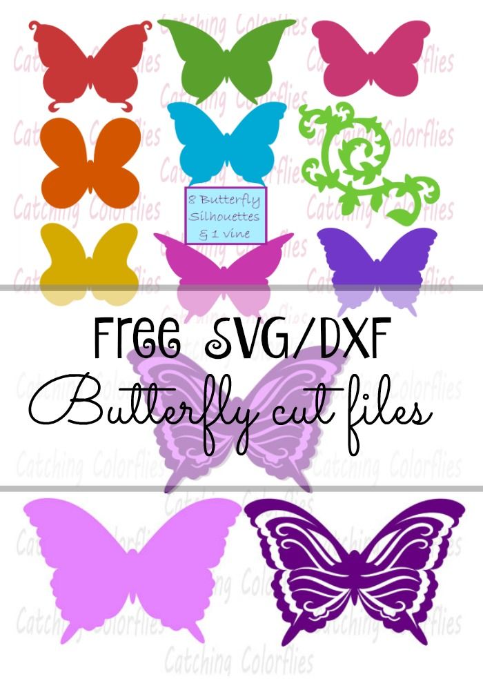 700x1000 Free Butterfly Svg Cutting File For Silhouette And Cricut Freebie