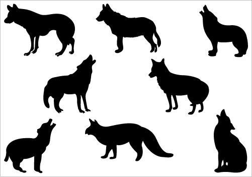 501x351 Free Clipart Coyote