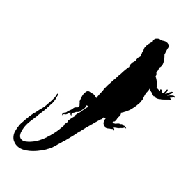 270x270 Bearded Dragon Silhouette Stencil Free Stencil Gallery