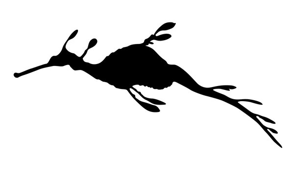 600x362 Free Stock Photos