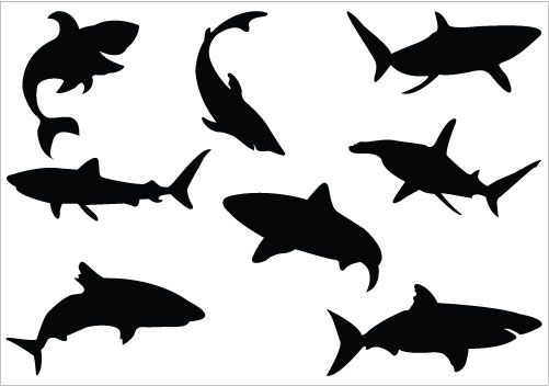 501x352 Shark Silhouette Vector, Ideal For Ocean And Sea Vector Graphics
