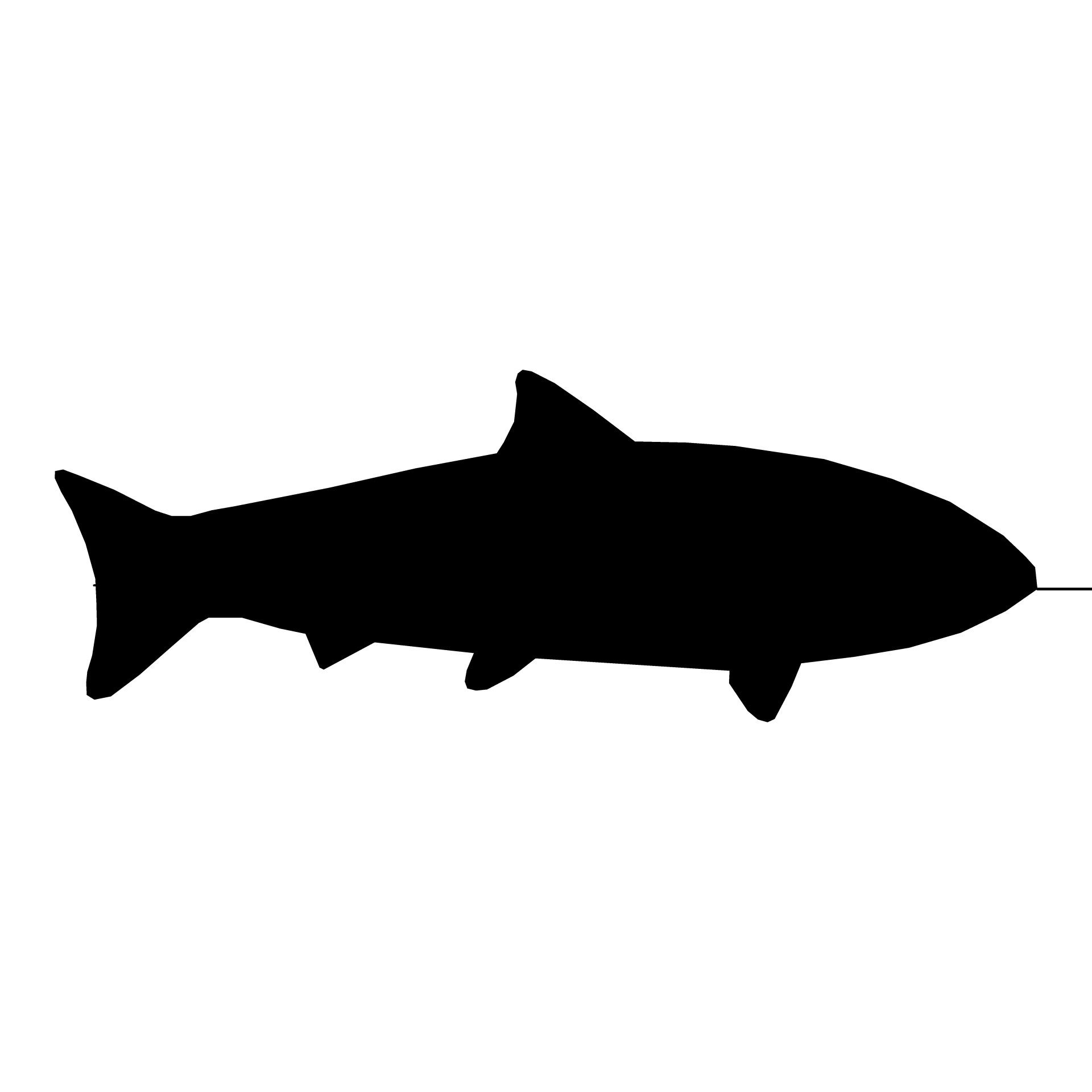 1920x1920 Fish Silhouette Free Fish Silhouette By Piotr Siedlecki Faye'S