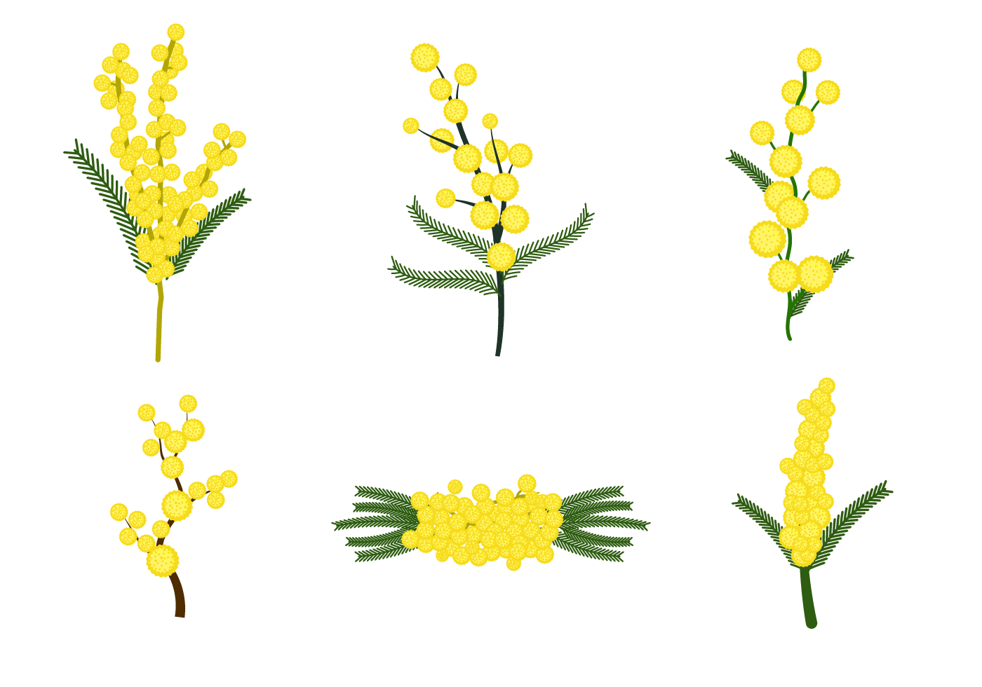 1400x980 Free Mimosa Flower Vector