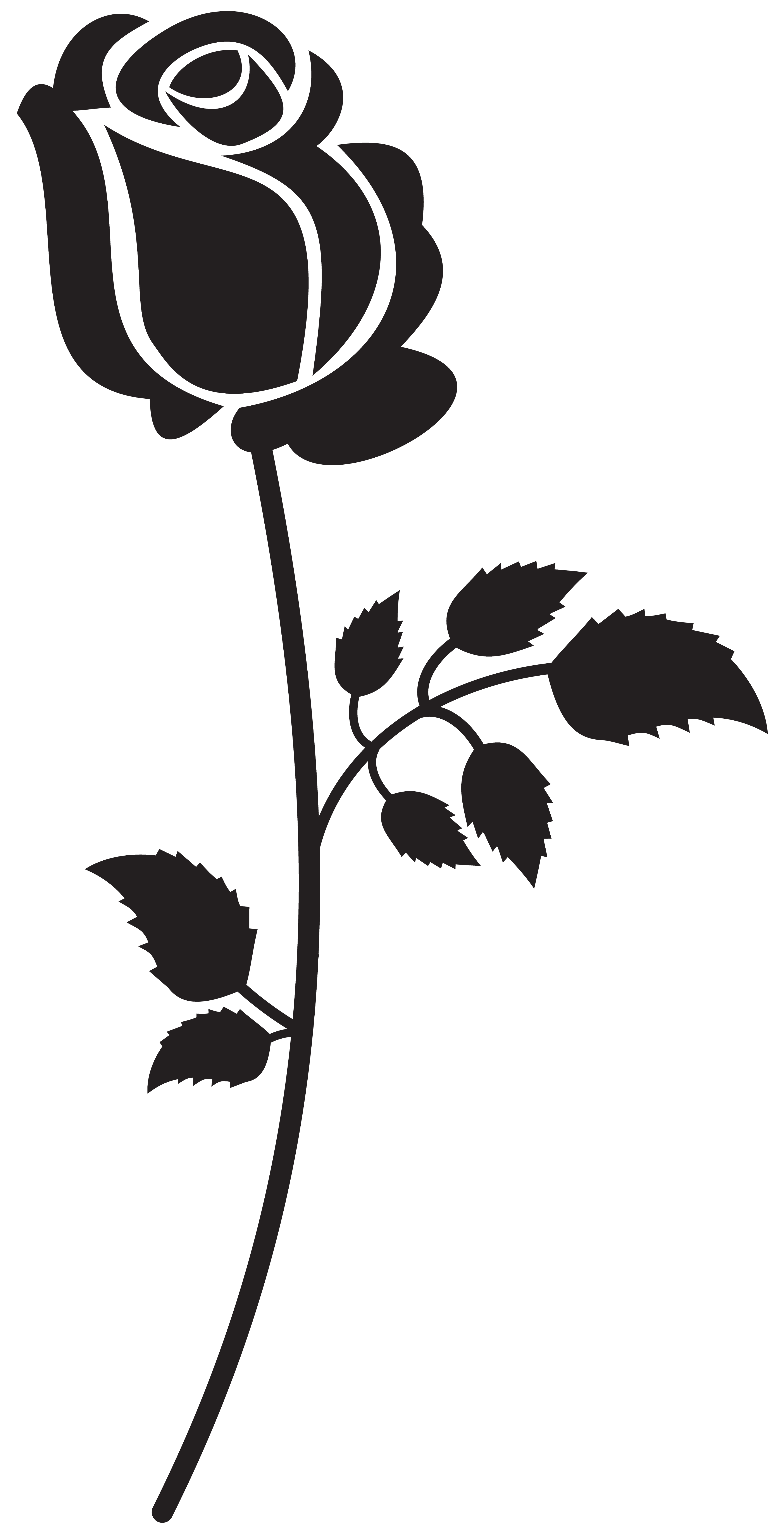 3591x7000 Rose Silhouette Png Clip Art Imageu200b Gallery Yopriceville
