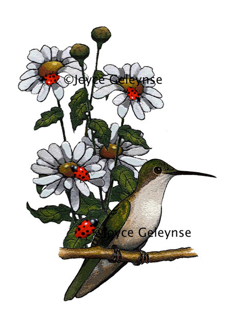 472x640 Hummingbird Clipart Hand Drawn Many Interesting Cliparts