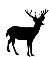 209x241 Google Image Result