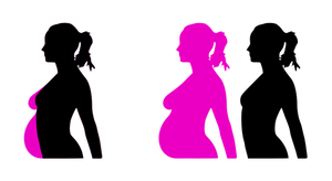 300x164 6846 Free Vector Fairy Silhouette Public Domain Vectors