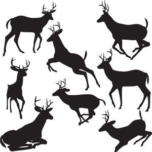 300x300 Black Deers Vector Download Illustrations Et Vectors