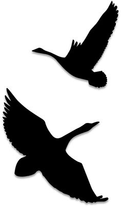 236x404 Birds Silhouettes Art Amp Islamic Graphics. Free For Personal