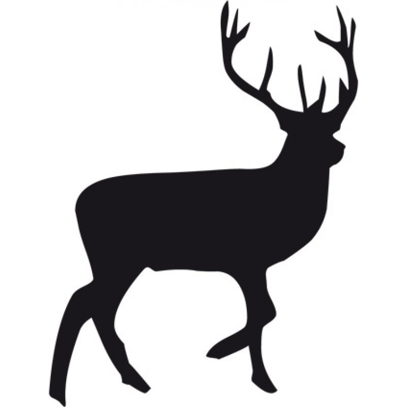 800x800 Applicatie Dieren Allerlei Free Printables Wood