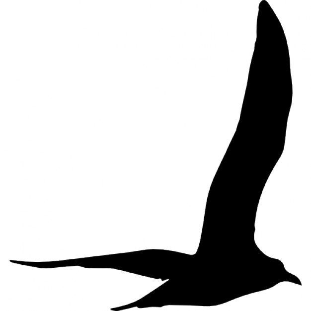 626x626 Gull Bird Flying Shape Icons Free Download