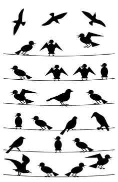 236x363 Target Practice Sheet