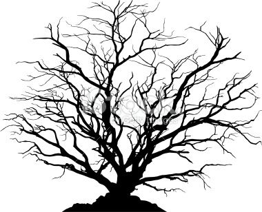 380x308 Silhouette Of A Round Shaped Deciduous Tree With No Leaves. Ground