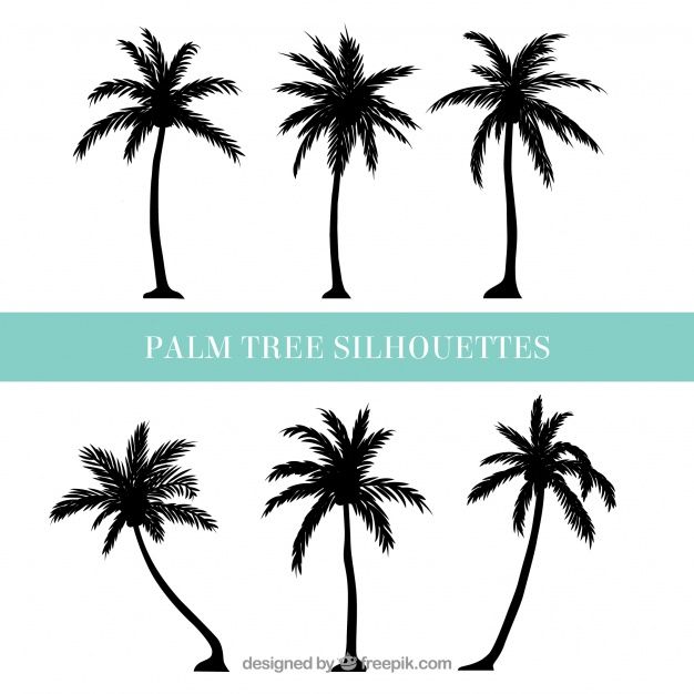 626x626 Silhouettes Of Palm Trees Free Vector Design Stencils