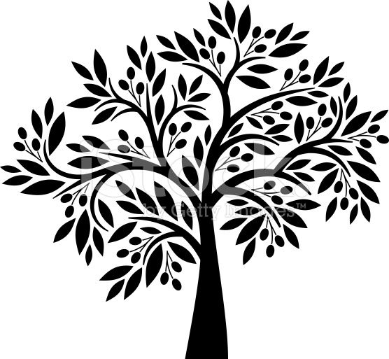 556x513 Decorative Olive Tree With Berries And Leaves Vector Art