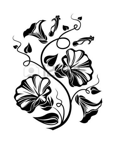 366x450 Bindweed Black Silhouette Vector Illustration Photo Patterns