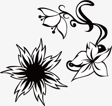 372x352 Black White Flowers, Black, White, Flowers Silhouette Png