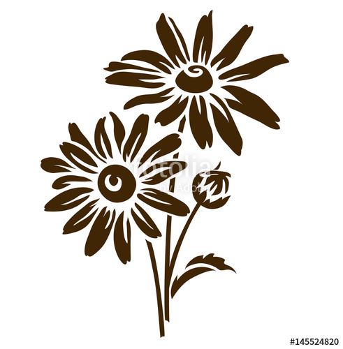 491x500 Echinacea Flower Silhouette. Vector Illustration. Decorative
