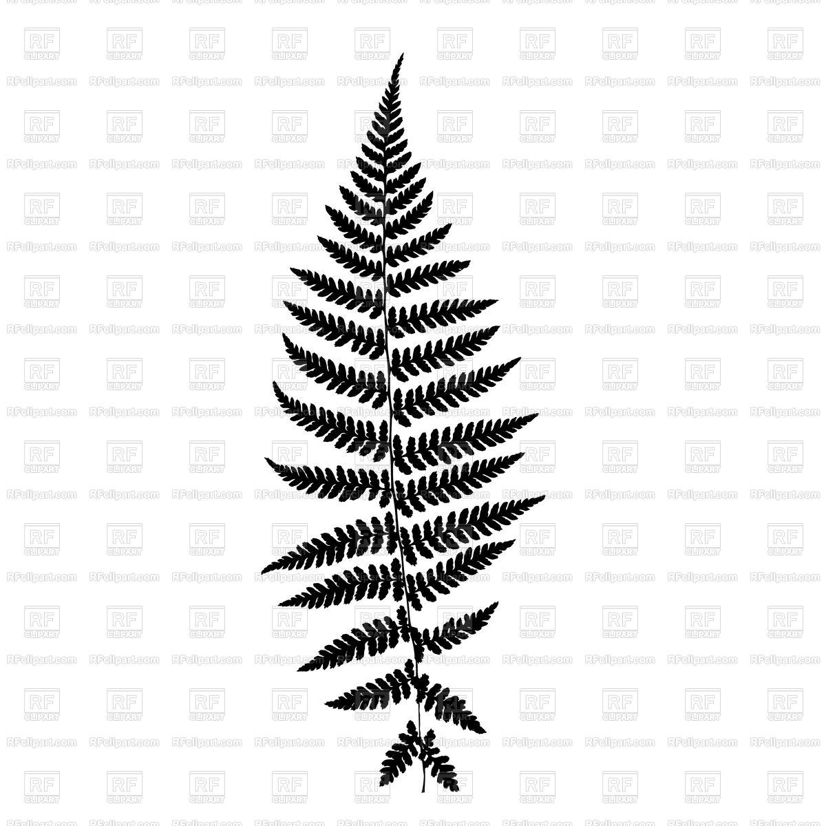 1200x1200 Fern Leaf Silhouette Royalty Free Vector Clip Art Image