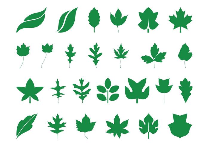700x490 Leaves Silhouettes Set