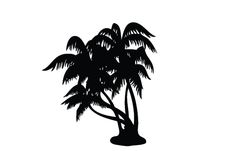 236x151 Palm Tree Silhouette Vector Palm Tree Silhouette, Tree