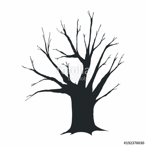 500x500 Tree Silhouette On White Background Stock Image And Royalty Free