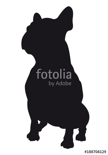 349x500 French Bulldog