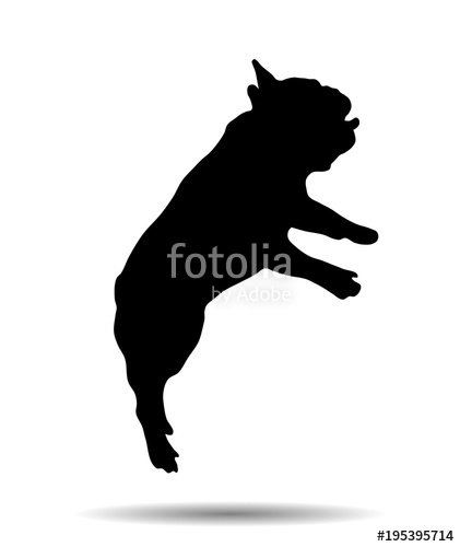 421x500 Silhouette Of A French Bulldog Stock Image And Royalty Free