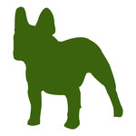 150x150 French Bulldog