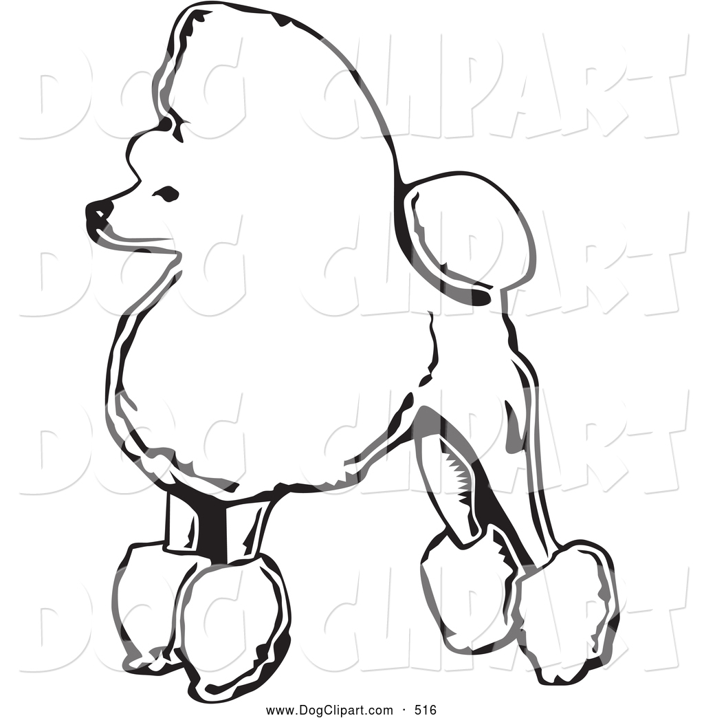 1024x1044 Poodle Clipart Fancy 3813002