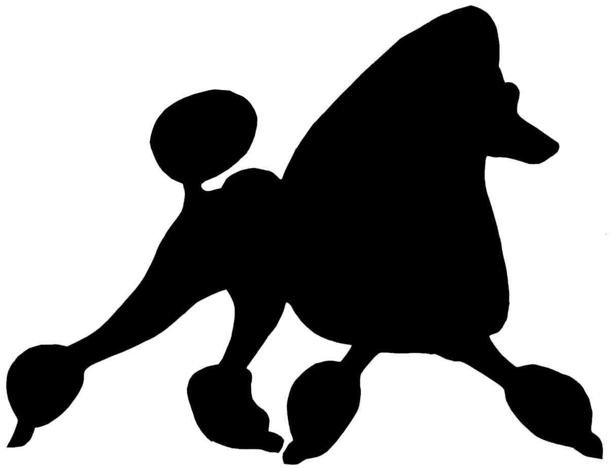 1202x925 Poodle Face Silhouette Animalsee.club