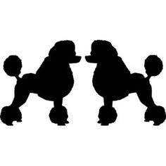 236x236 Poodle Svg